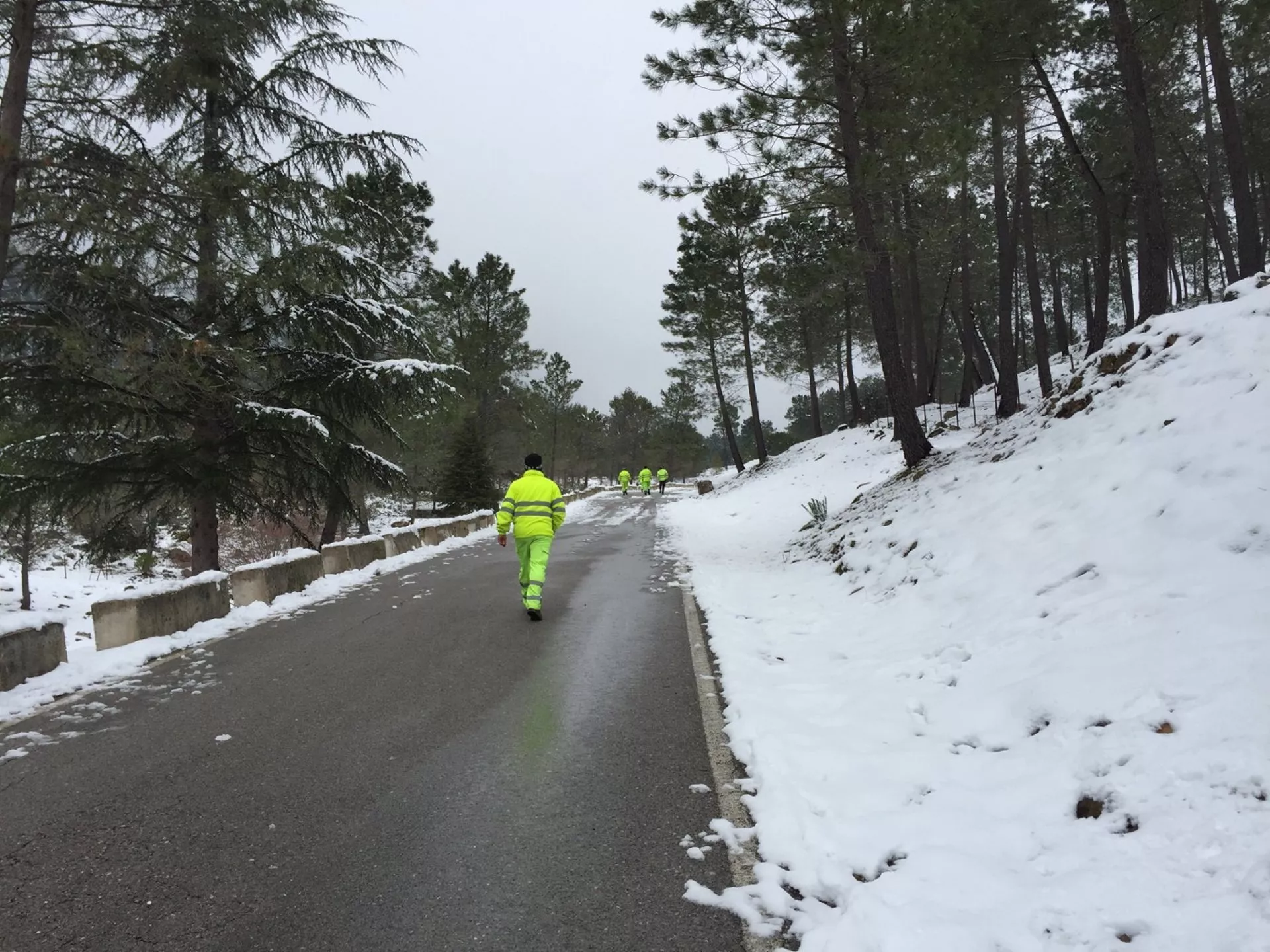 La carretera de acceso a Grazalema ha tenido que ser cortada