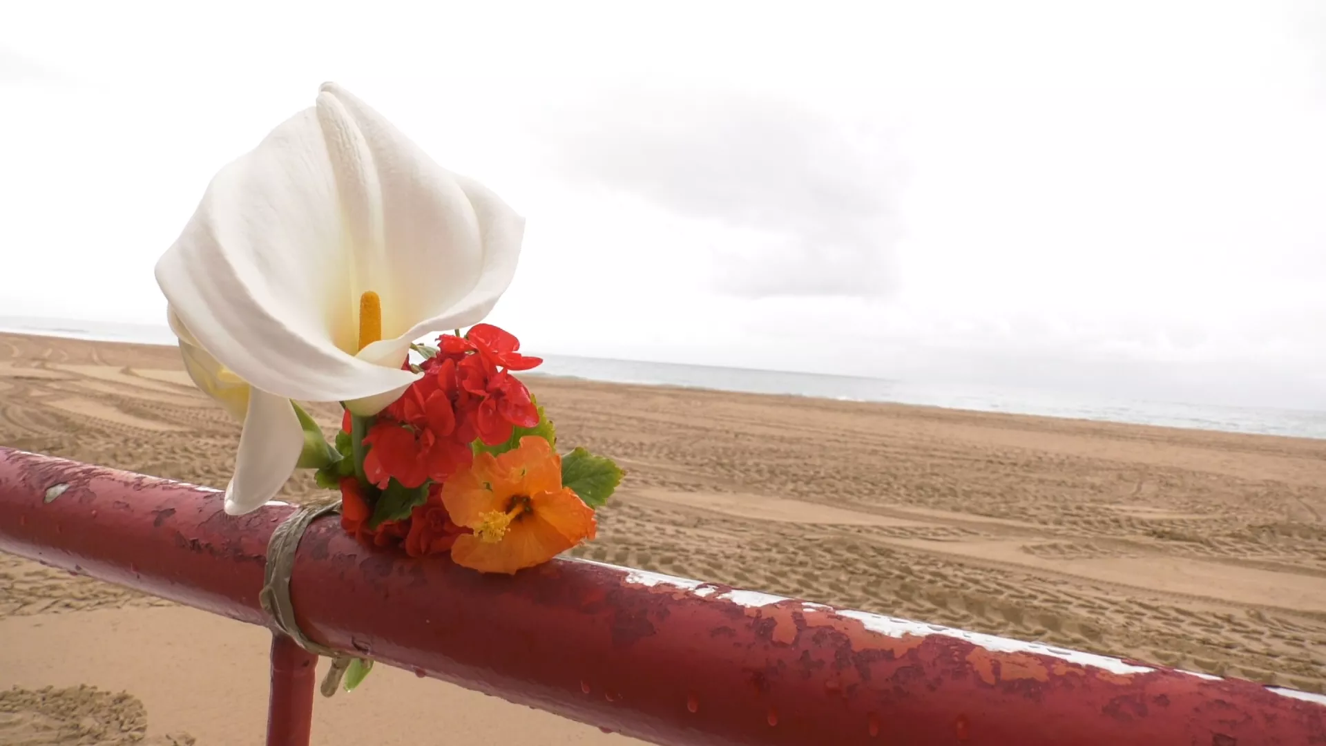 Flores en el lugar donde paraba Carlos, hallado muerto este lune