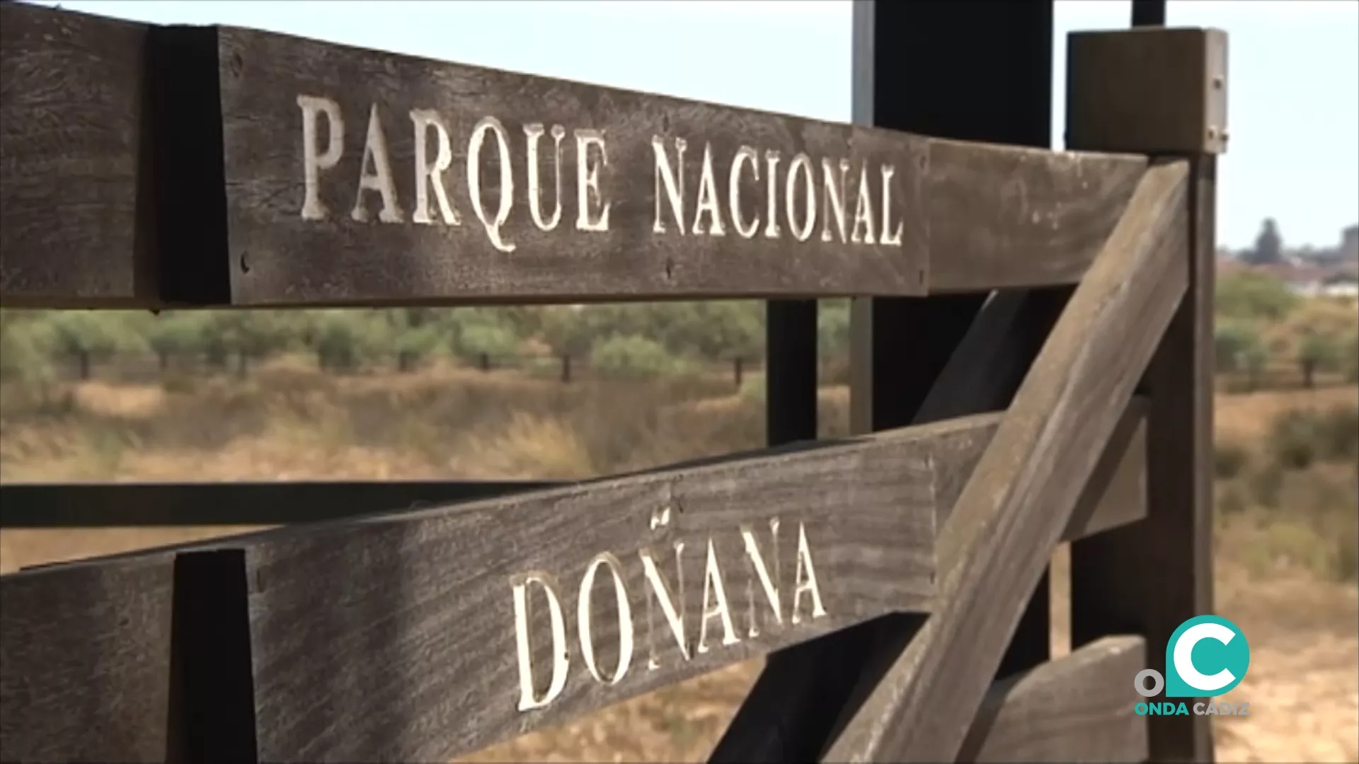 Parque natural de Doñana