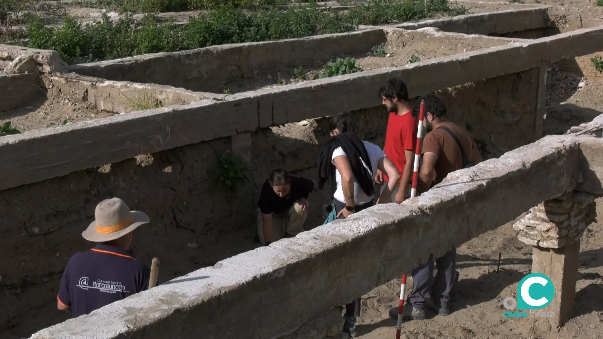 Imagen de los trabajos de exhumación en el cementerio 