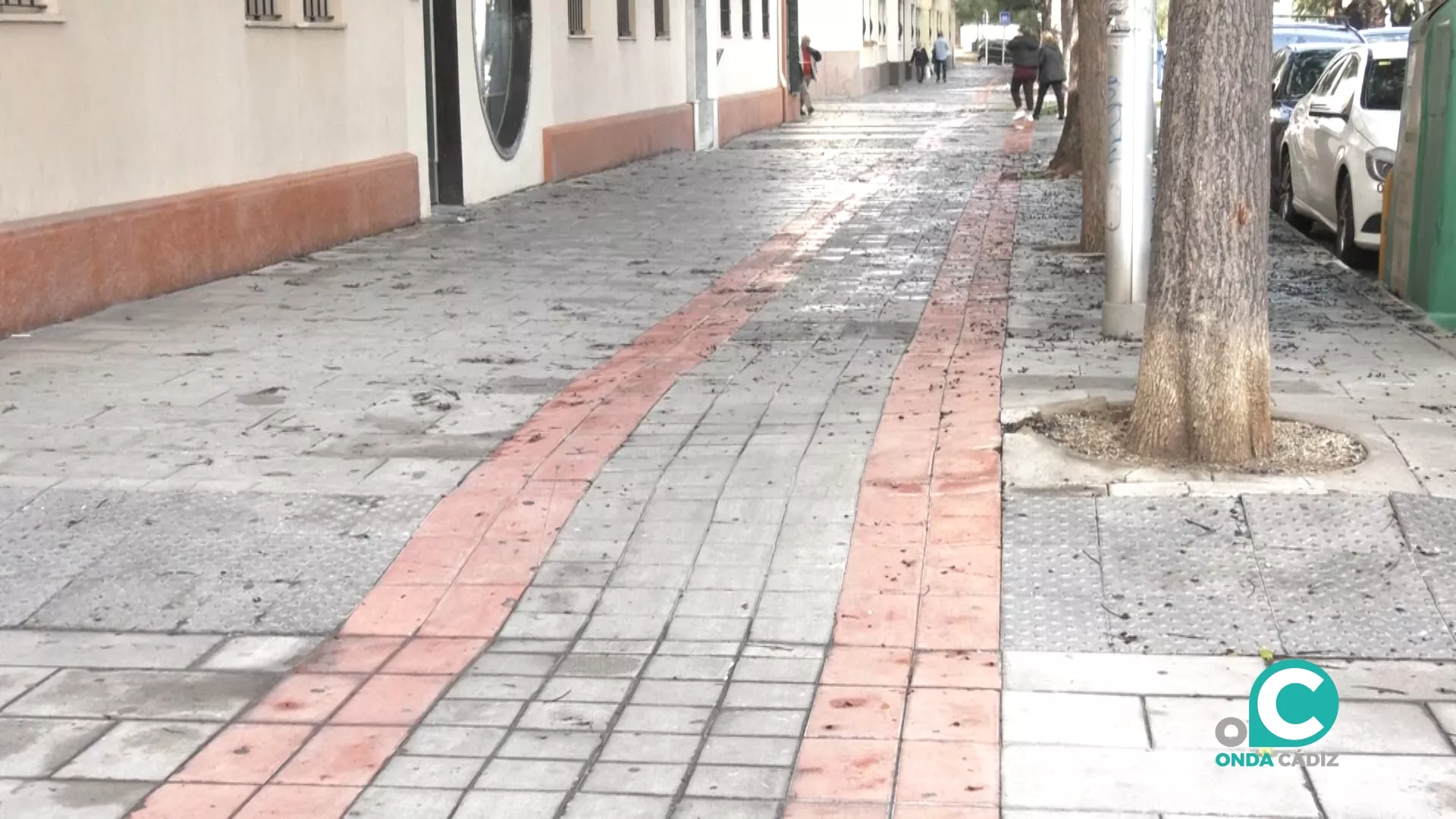 En diez días comenzarán las obras de remodelación del carril bici bici de la avenida de la Sanidad Pública y de la avenida de la Bahía.