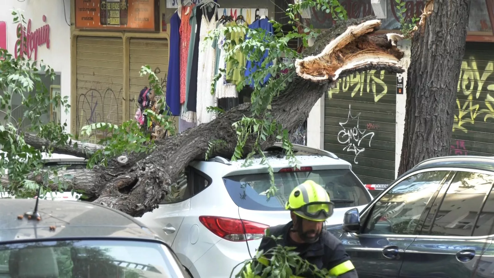 Bomberos trabajan para retirar las ramas desprendidas 