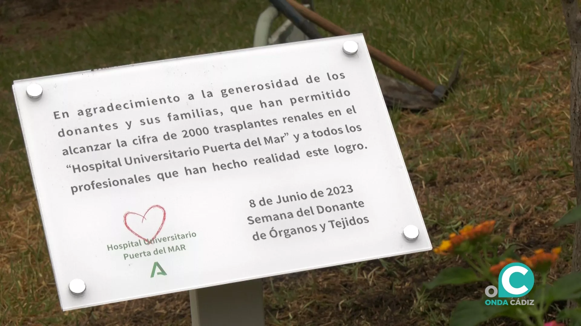 Placa conmemorativa ubicada en la zona ajardinada del Puerta del Mar