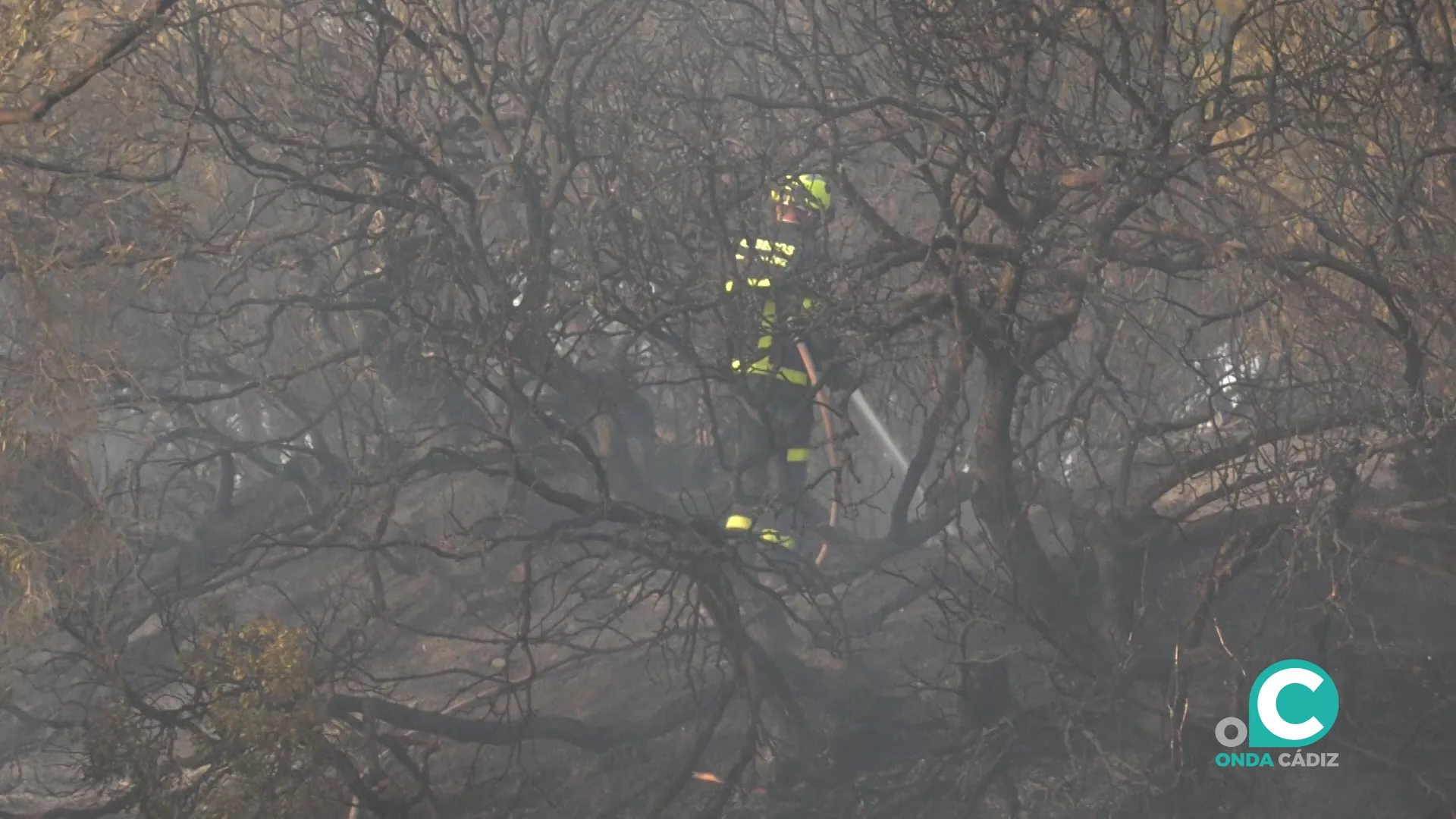 Efectivos del Consorcio Provincial de Bomberos intentando sofocar el incendio.