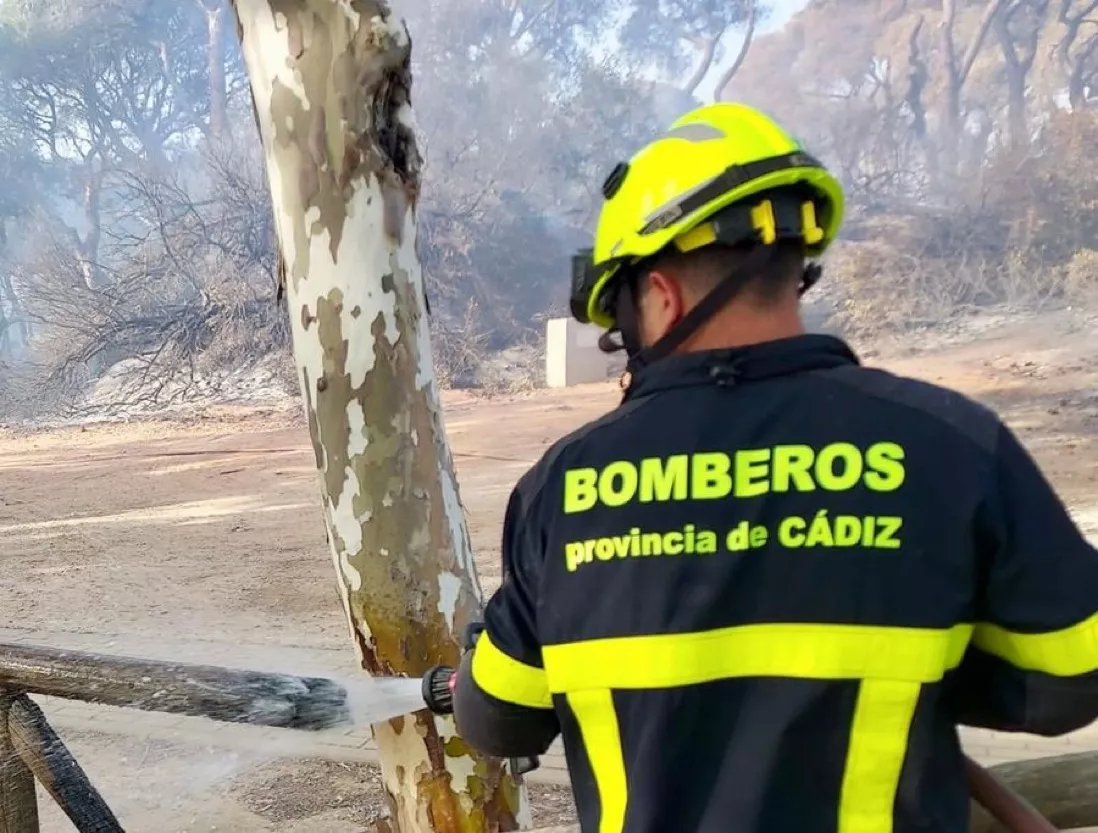 Bomberos ya se encuentran actuando en la zona