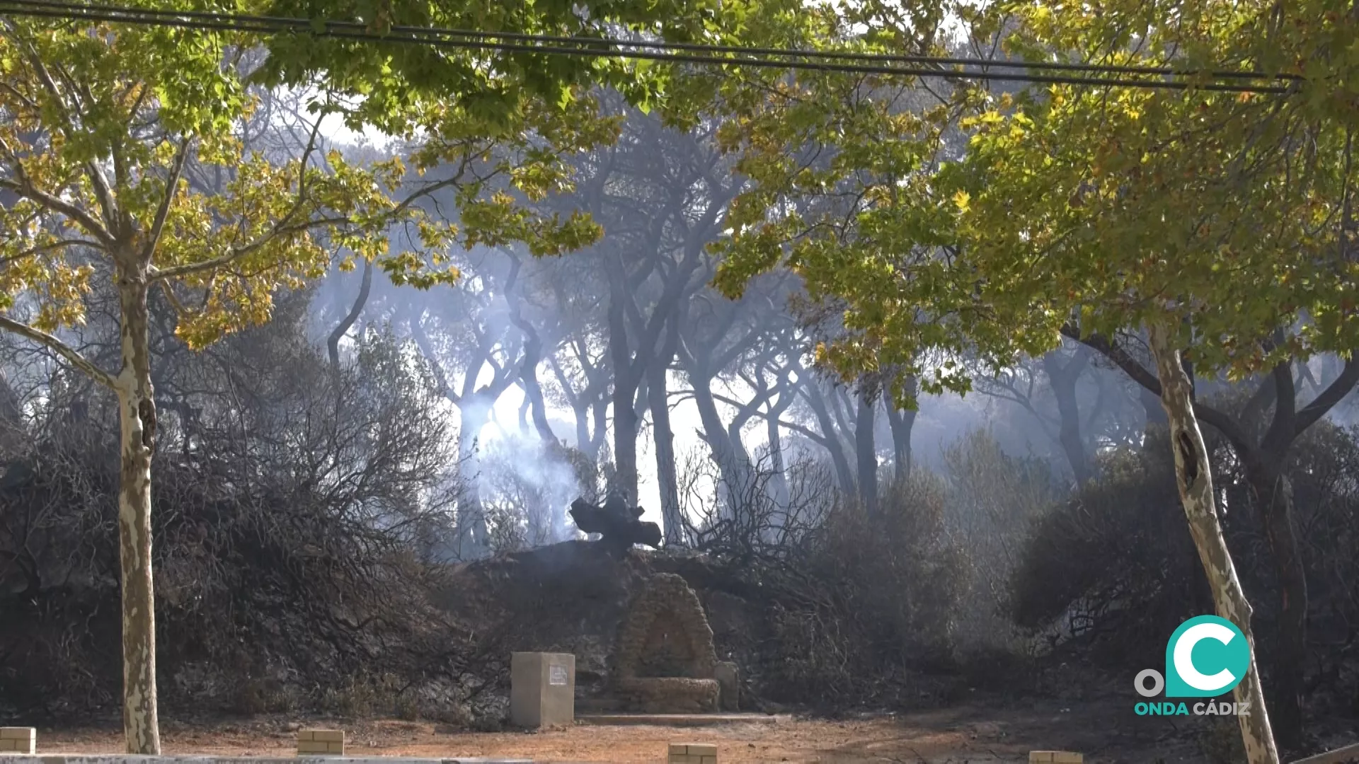 Imagen del incendio en las Canteras