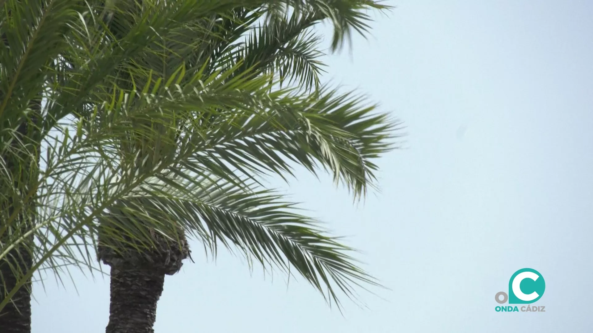 Las máximas podrían alcanzar los 33 grados 