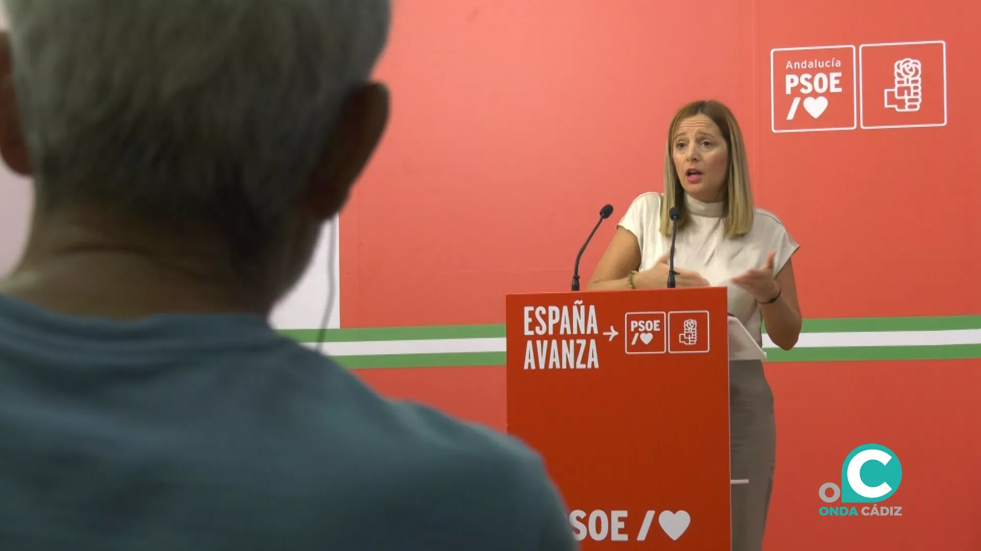 Ana Carrera, portavoz PSOE en Diputación