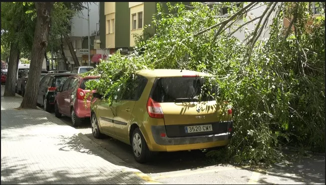 La calle ha permanecido cortada durante la mañana