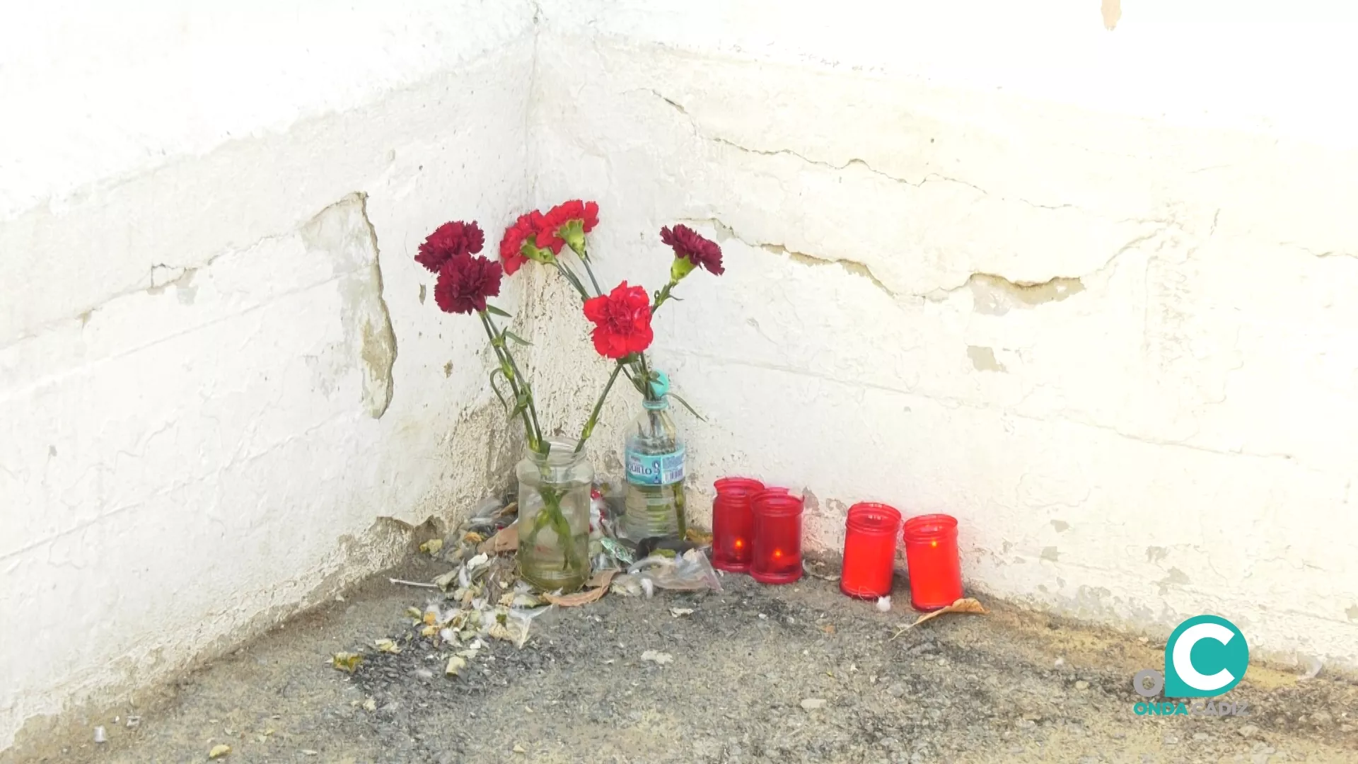 Velas y flores en recuerdo a Domingo en la plaza Manuel Santander.