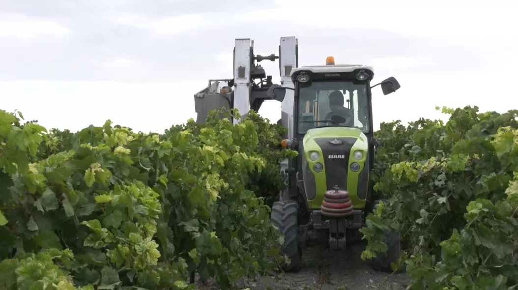 El PGEA aporta 7 millones y medio para el empleo agrario en la provincia.