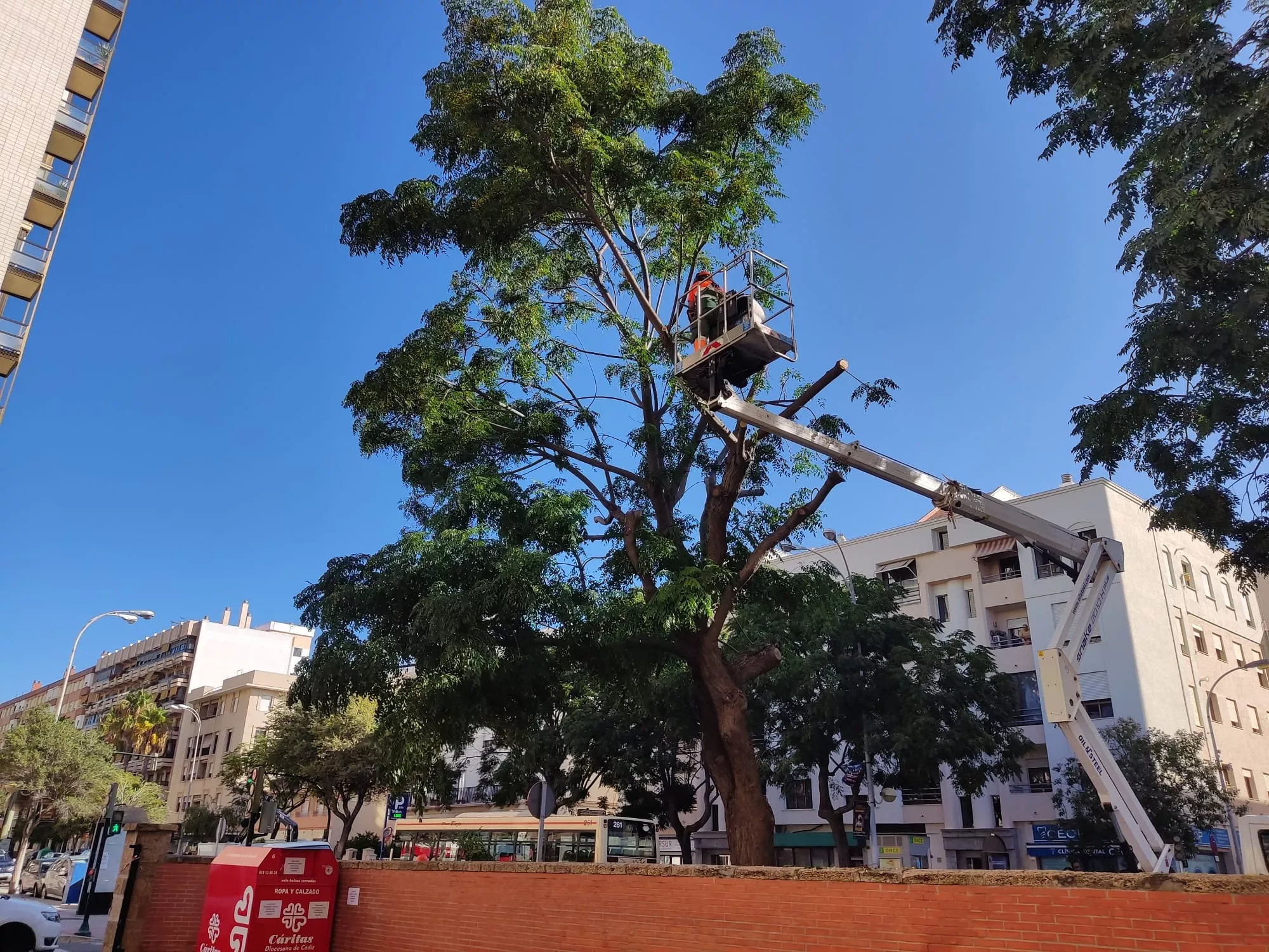 El Ayuntamiento de Cádiz está realizando esta medida especial antes de que comience el curso escolar