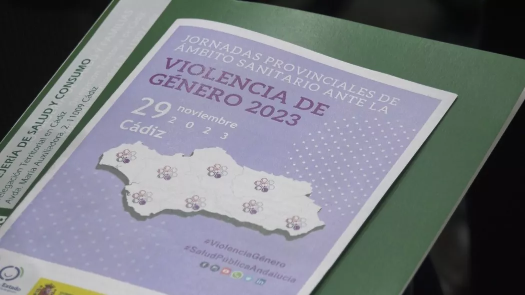 El sistema de sanitario analiza la situación de la violencia de género en la provincia.