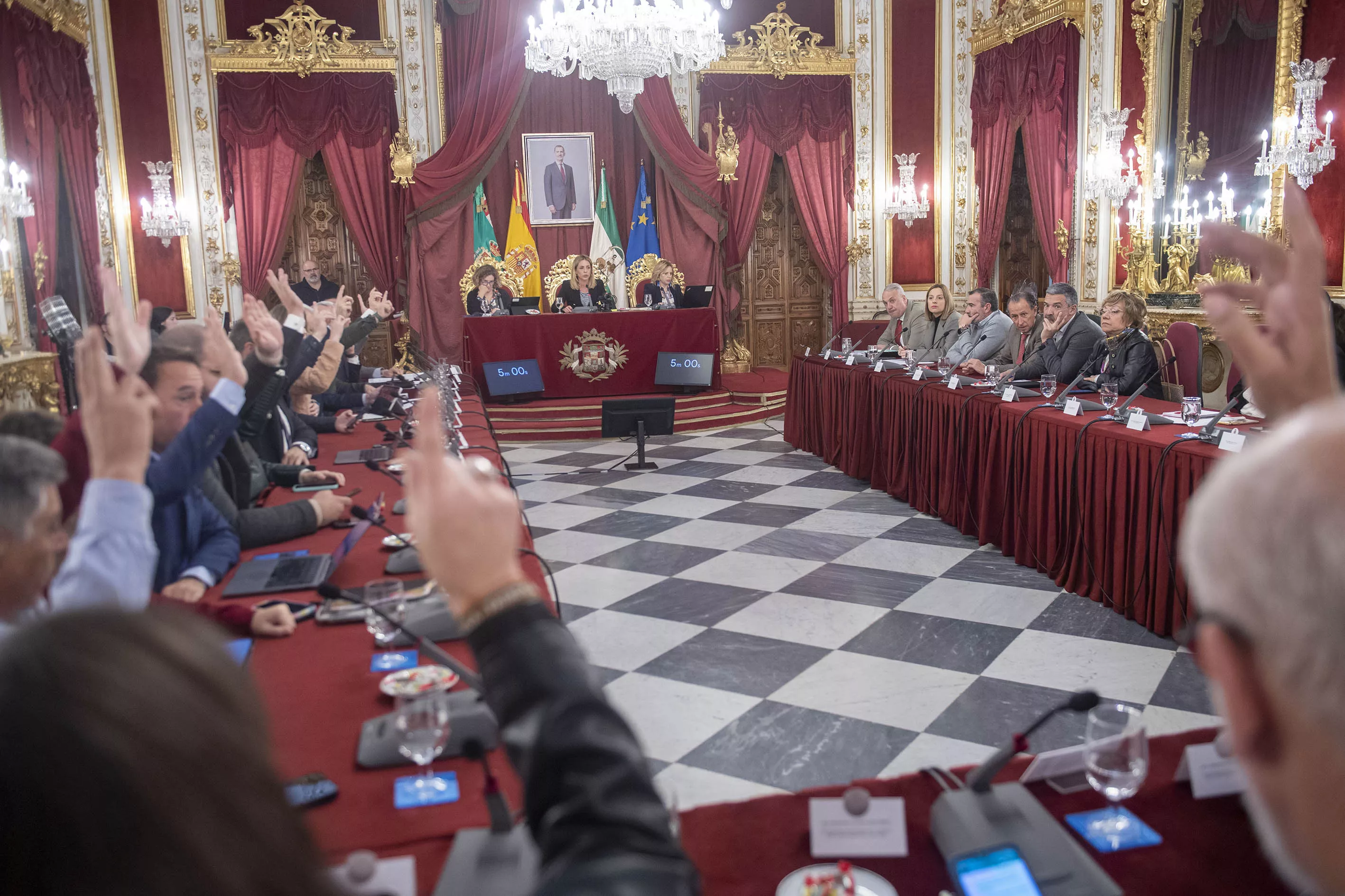 Sesión plenaria de la Diputación de Cádiz. 