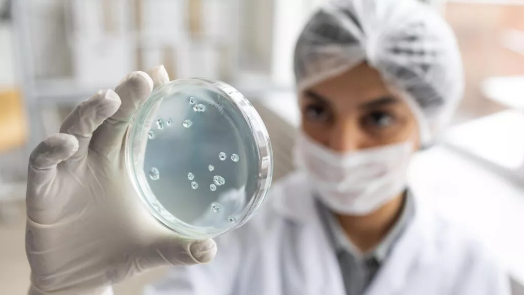 Apuesta por la investigación del Servicio de Urología de los hospitales. Apuesta por la investigación del Servicio de Urología de los hospitales.