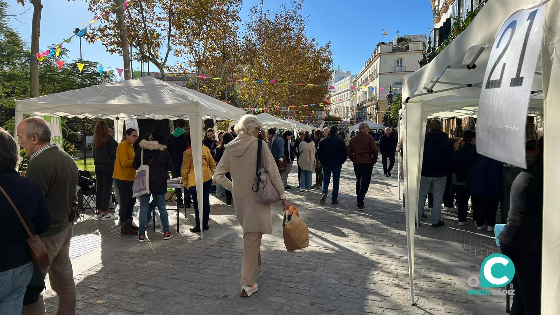 Jornada de actividades por el Día Internacional de la Discapacidad 