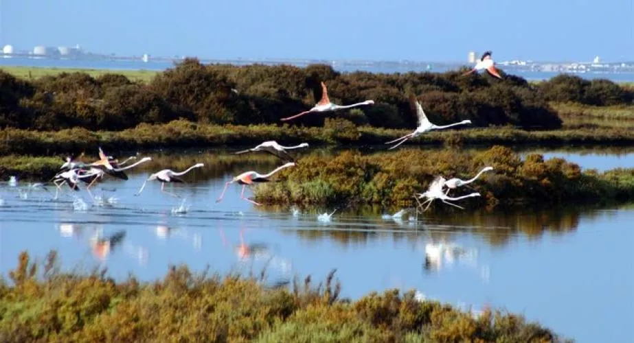 Parque Natural Bahía de Cádiz