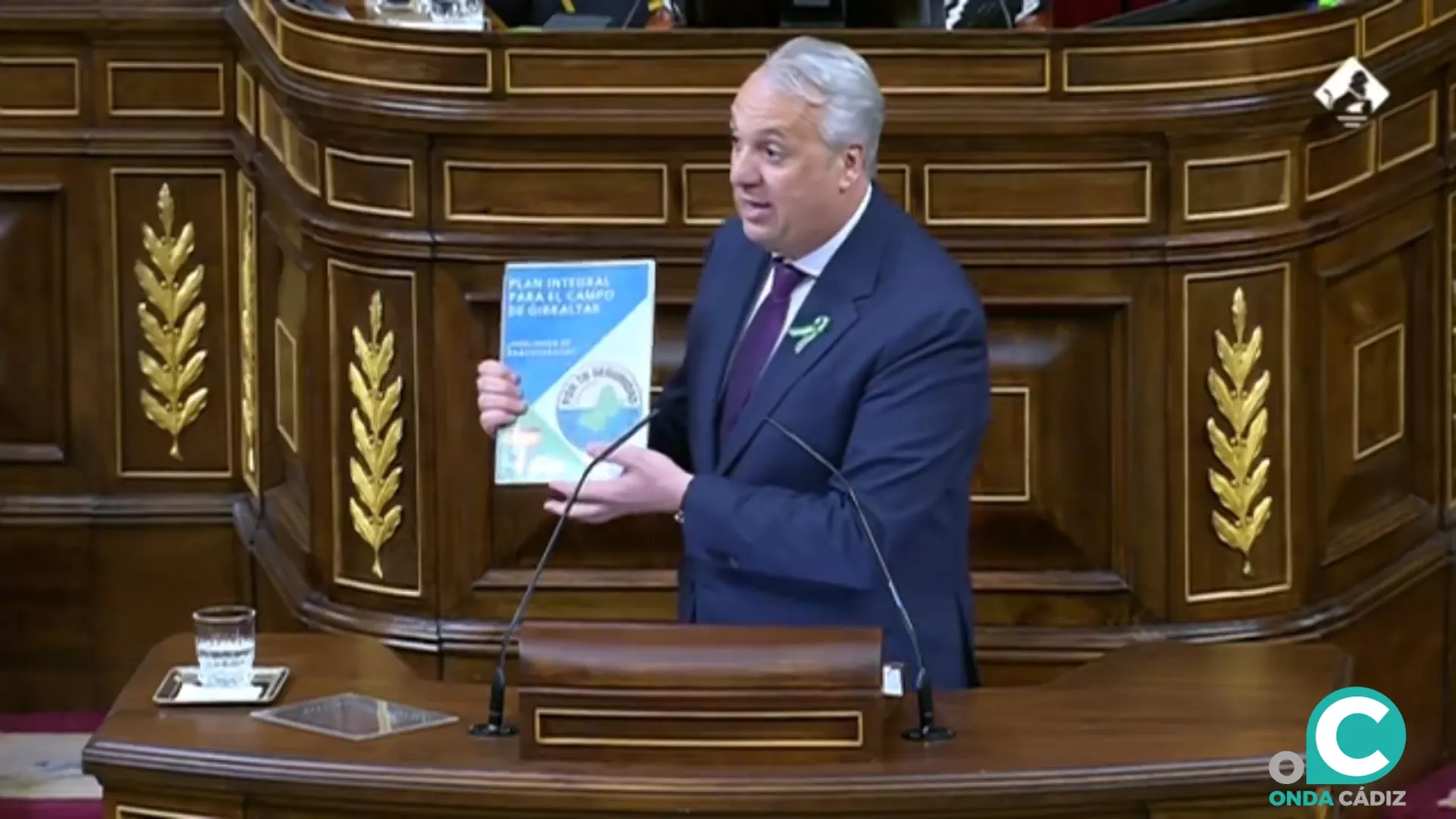 El diputado socialista, Juan Carlos Ruiz Boix, en el Pleno del Congreso. 