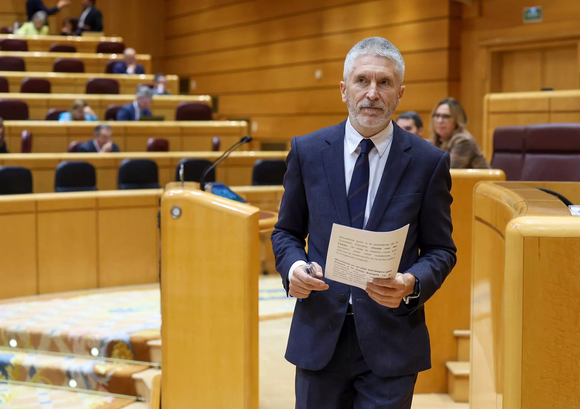 El ministro del Interior, Fernando Grande-Marlaska, durante una sesión plenaria en el Senado el pasado 7 de febrero