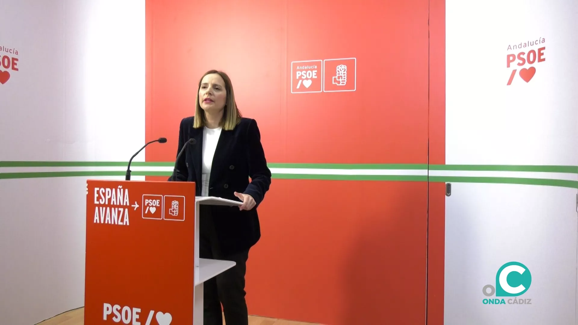 La secretaria de Organización del PSOE de Cádiz, Ana Carrera, en rueda de prensa. 