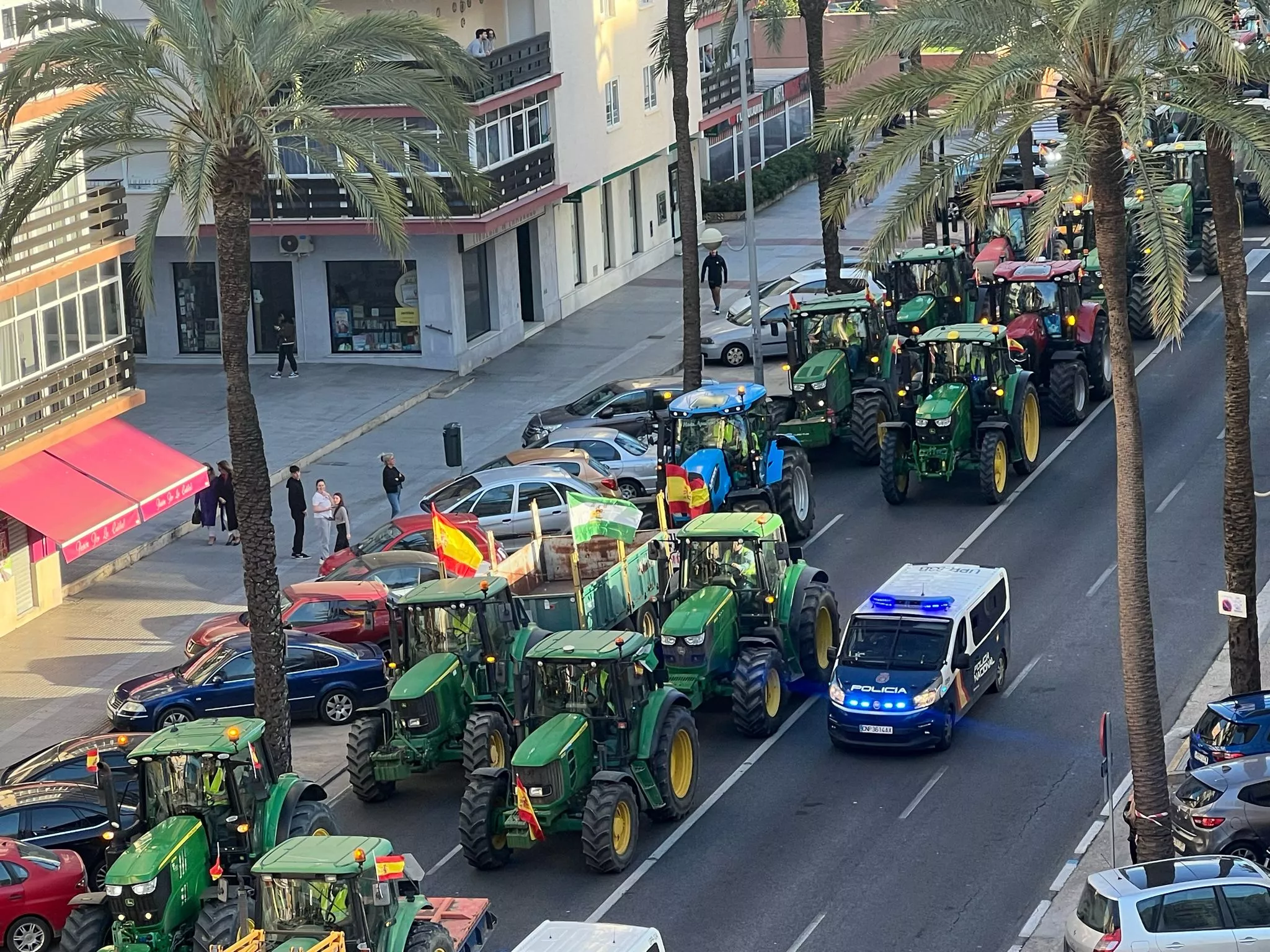 Imagen de caravanas de tractores por la avenida principal de Cádiz