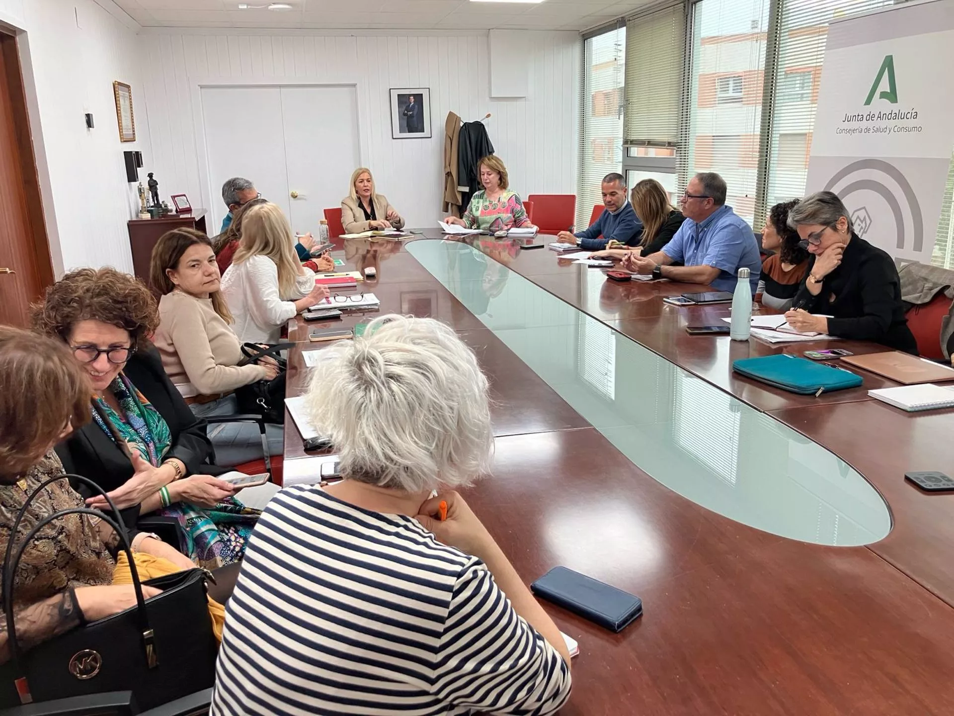 Integrantes del Comité Territorial contra la Violencia de Género de la provincia de Cádiz en una segunda reunión