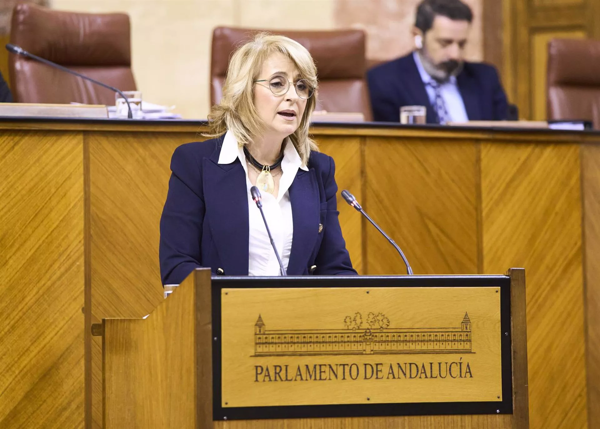 La diputada del PP-A Pilar Pintor interviene en el Pleno del Parlamento andaluz