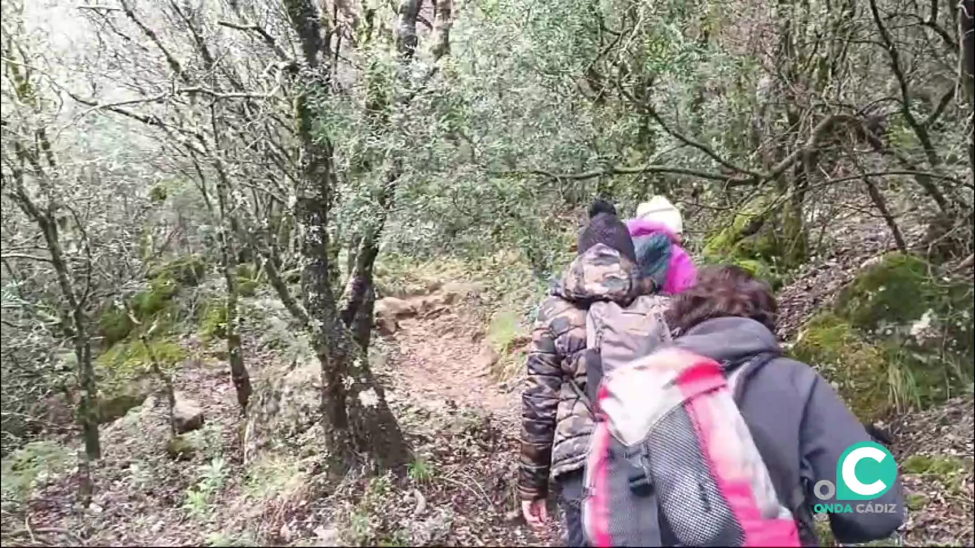Excursionistas en un sendero rural de la provincia de Cádiz Excursionistas en un sendero rural de la provincia de Cádiz