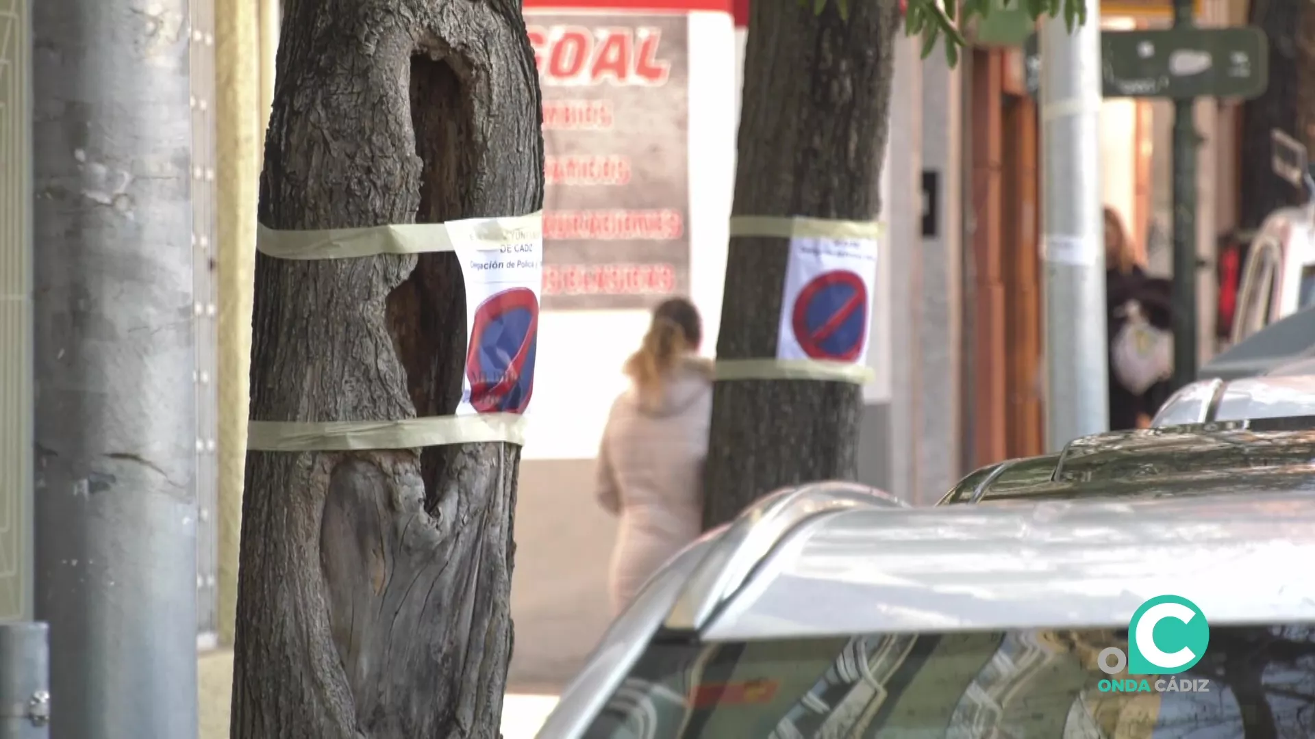 Árboles señalizados para una futura poda en la avenida Brunete