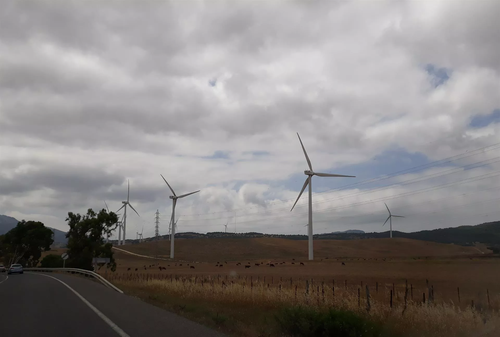 Molinos de viento, en la N-340, en Tarifa 