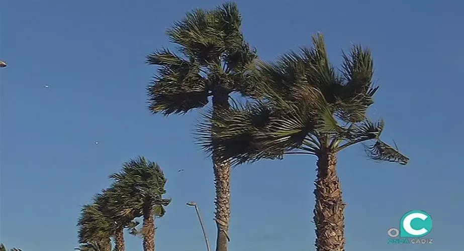 El litoral y la zona del Estrecho, en aviso amarillo por fenómenos costeros. 