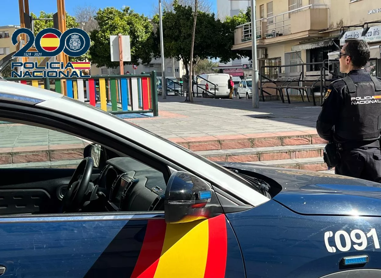 Con estas detenciones se esclarecen gran parte de los delitos de este tipo cometidos en la ciudad en los últimos meses.