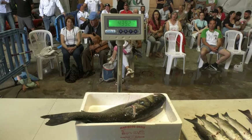 Los miembros del Club de Pesca Sub Almería consiguen el Campeonato de Andalucía de Pesca Submarina.