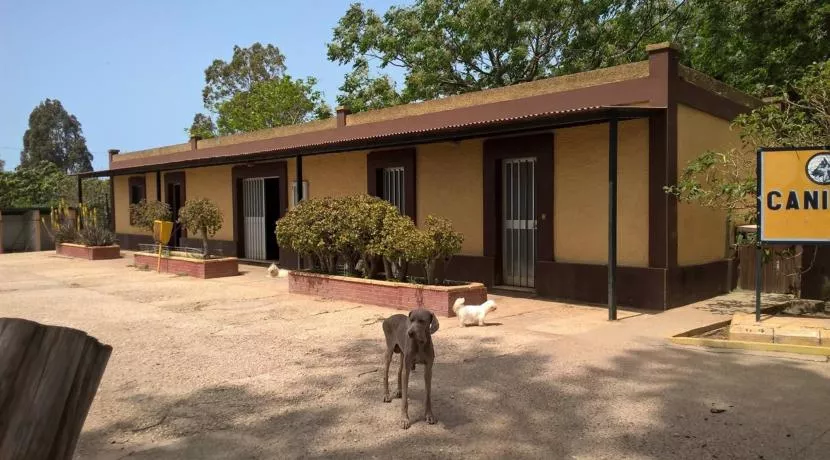 Los ayuntamientos de Cádiz y San Fernando trabajan en el proyecto de un nuevo centro público de Bienestar Animal para ambas ciudades.