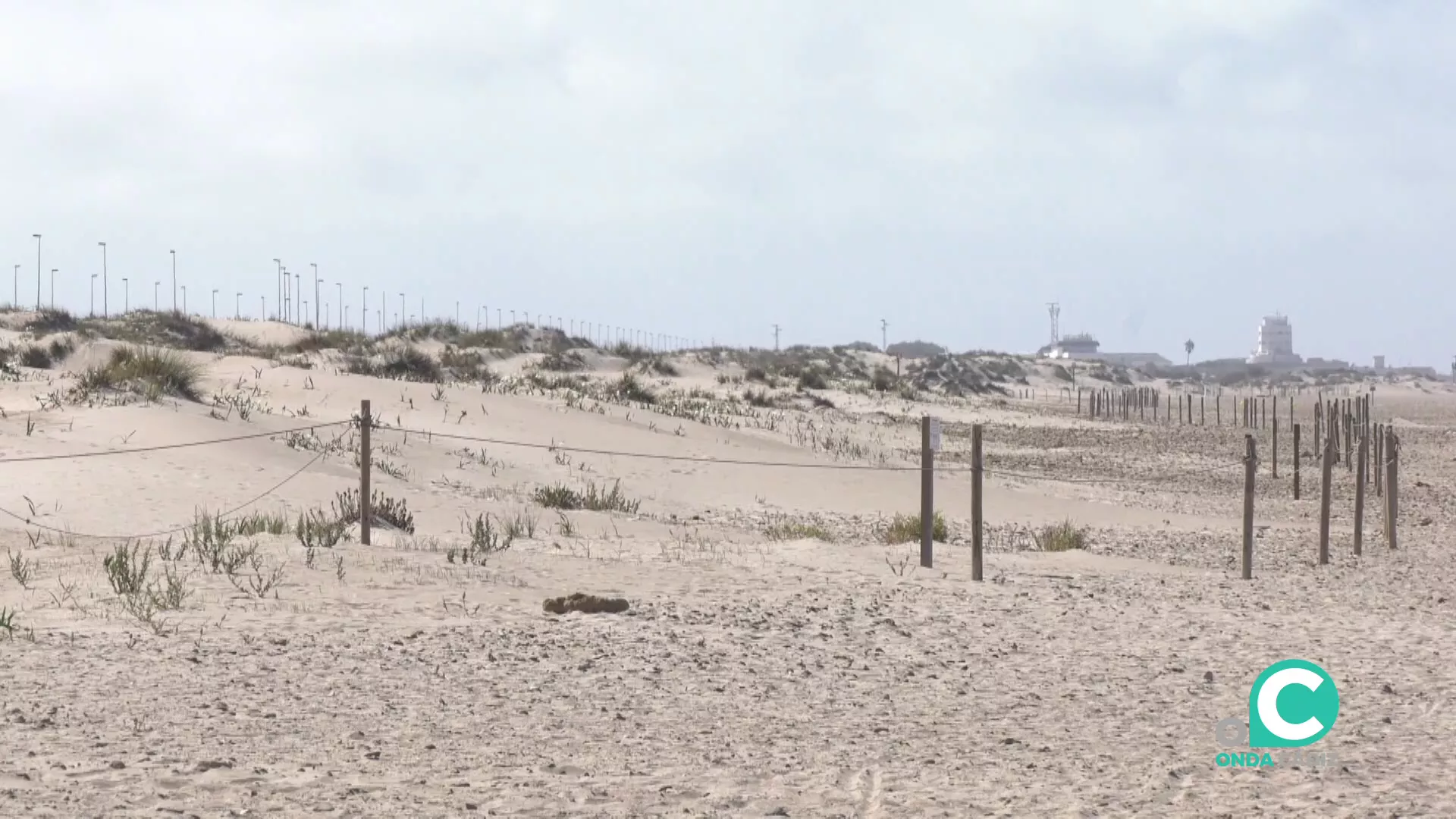 El plan plantea como novedad el servicio de una playa canina en la zona de Torregorda. 