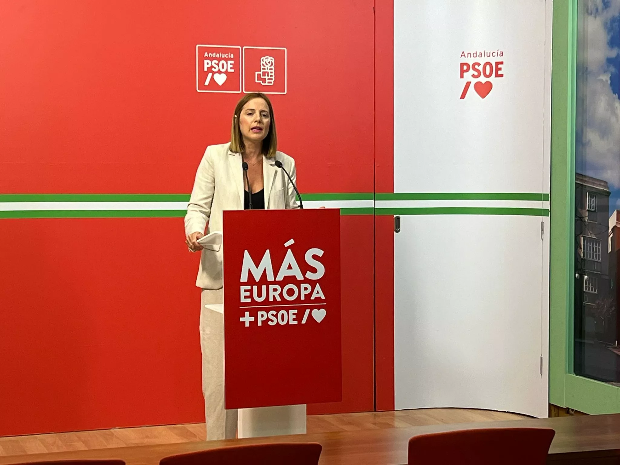 La diputada provincial del PSOE Ana Carrera, en rueda de prensa. 