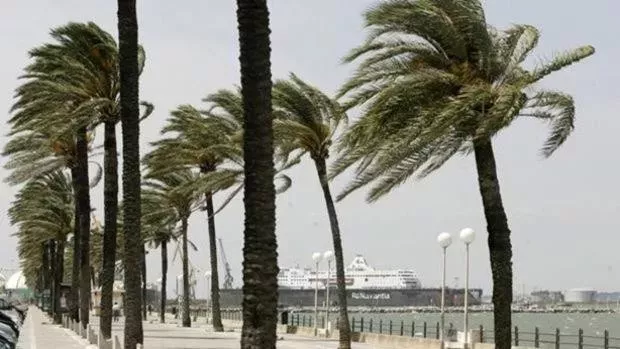 Las rachas de viento de levante alcanzarán hasta 80 kilómetros por hora, según AEMET. 