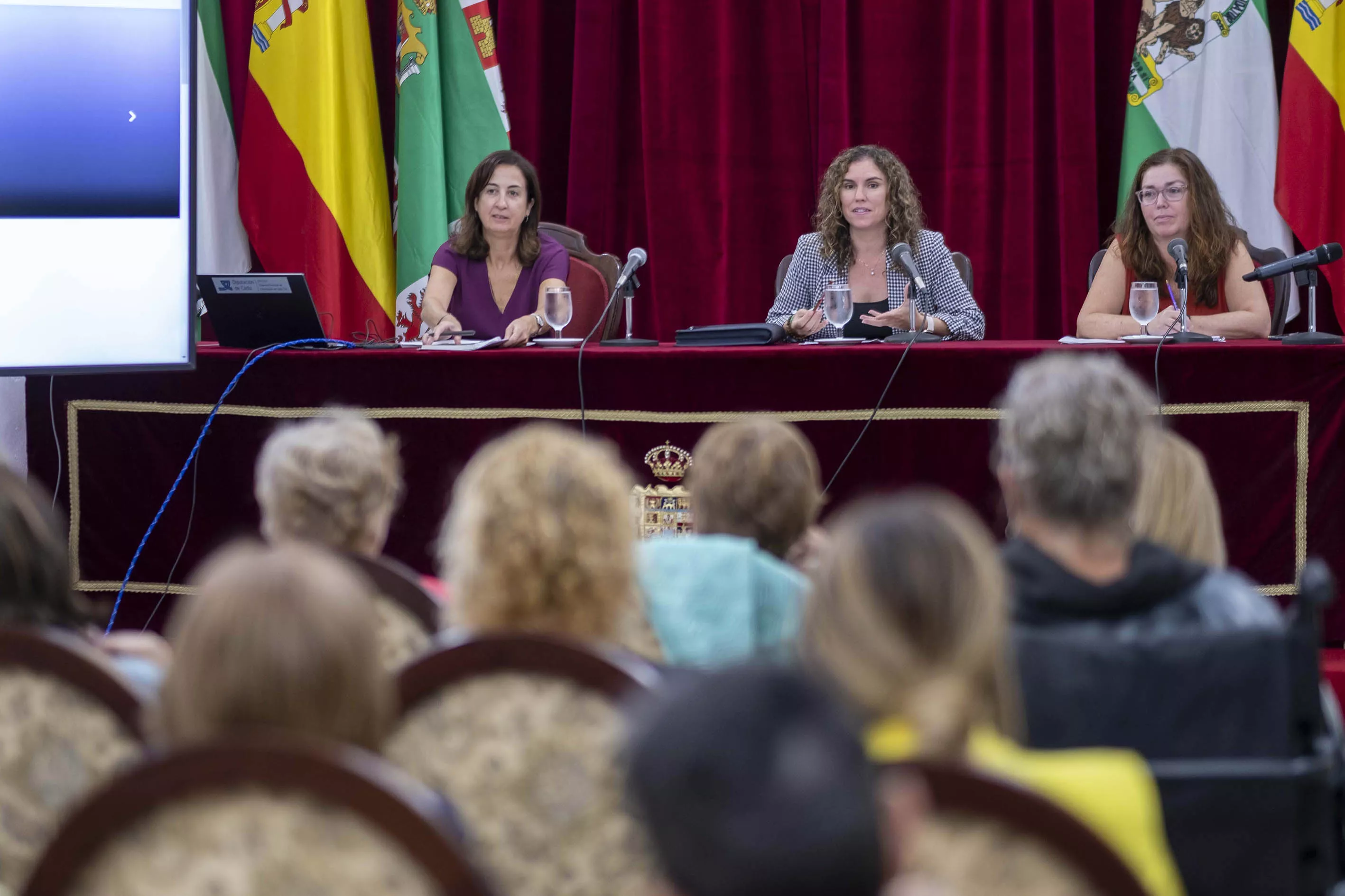 La diputada Susana Sánchez en el Consejo provincial de igualdad.