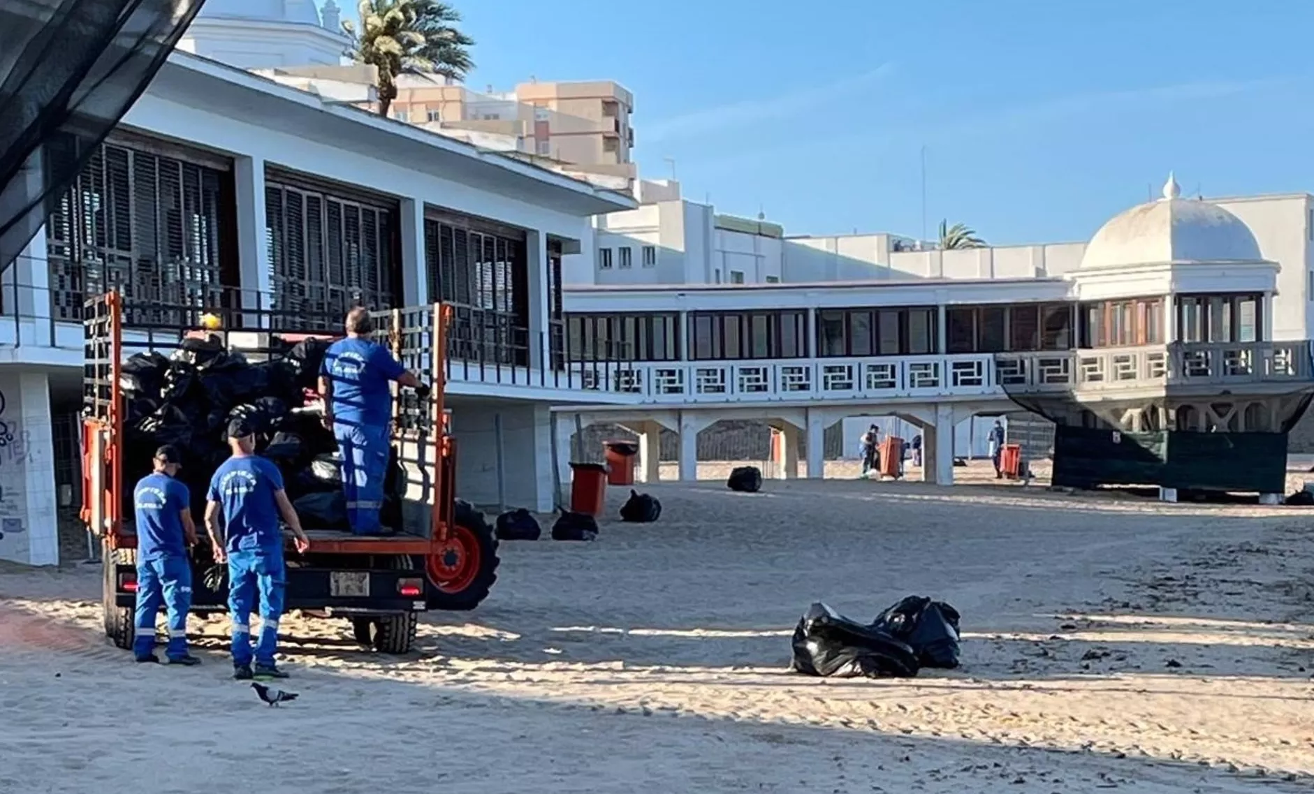 Playa de la Caleta tras la limpieza de los operarios por la noche de San Juan