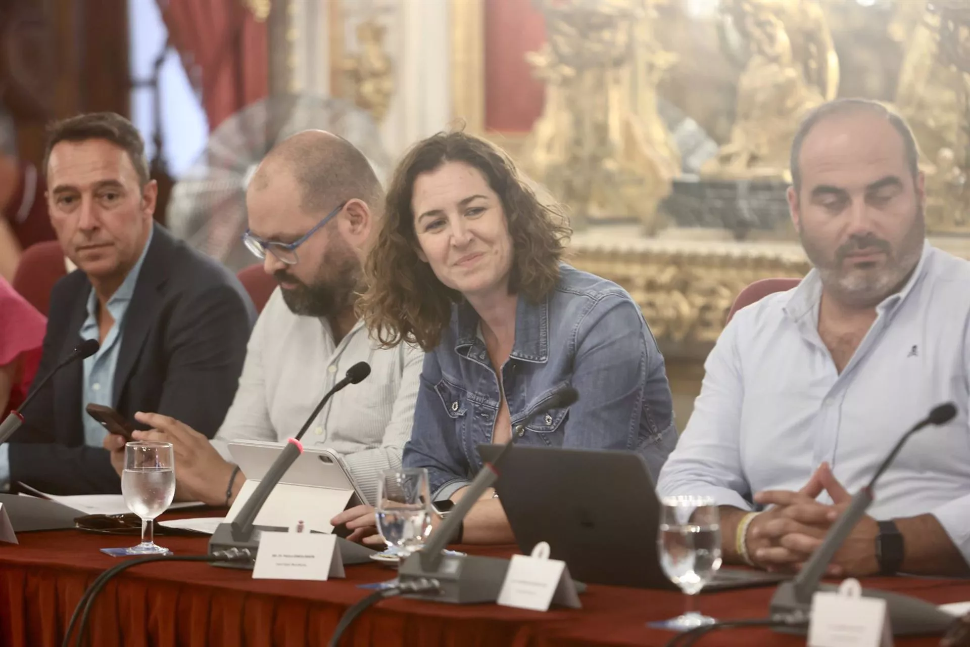 La diputada provincial Paula Conesa en el Pleno extraordinario sobre el servicio de ayuda a domicilio