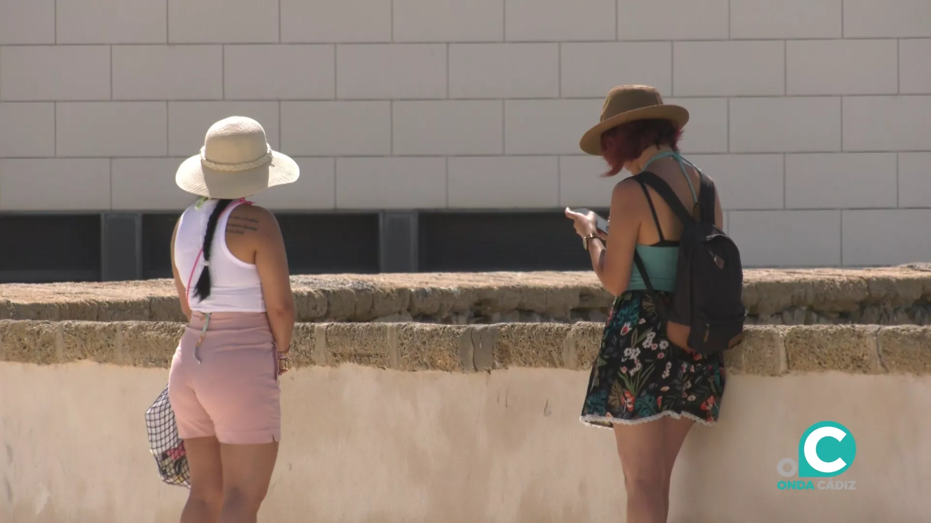 El aviso naranja por calor afectará este miércoles a la campiña gaditana.