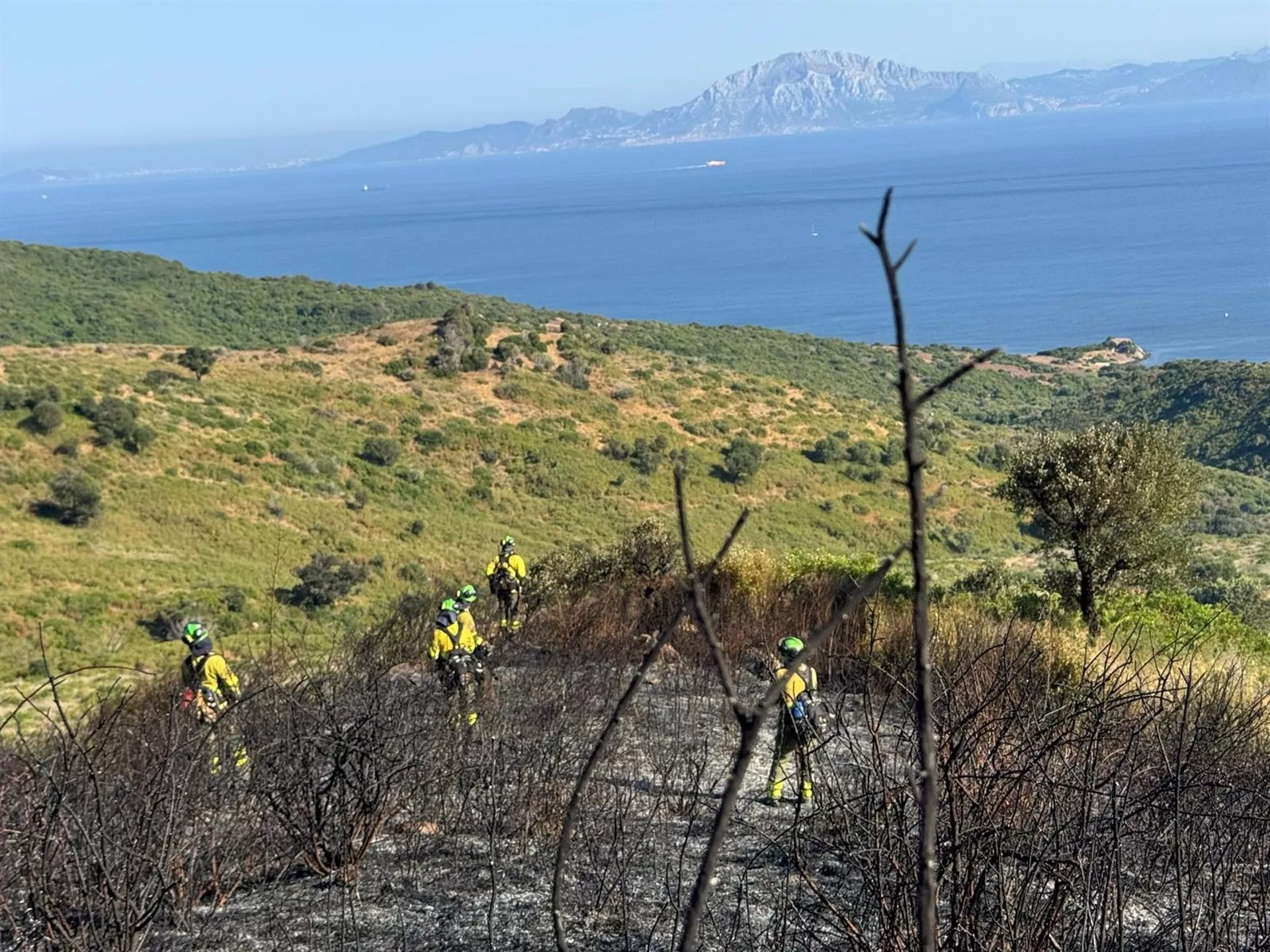 Efectivos de Infoca actuando en la tarde de este sábado contra el incendio en Algeciras.