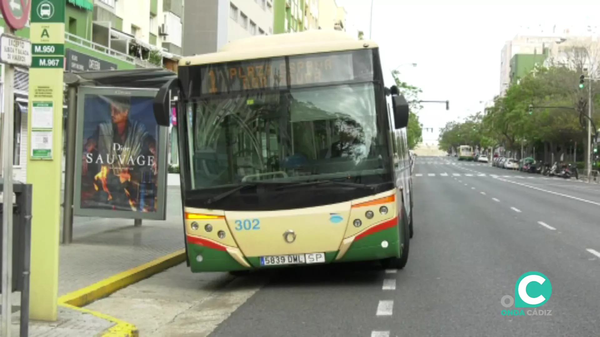 Una de las paradas del servicio plaza de España-Cortadura en plena Avenida.