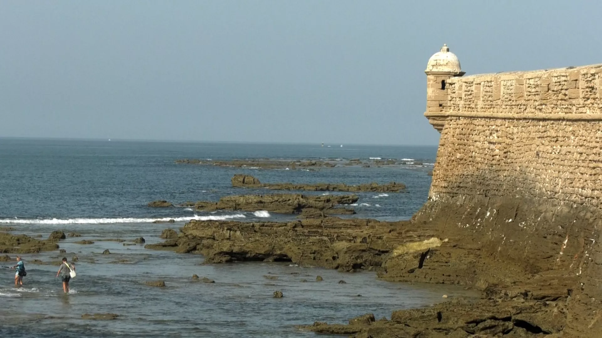 Algas en La Caleta