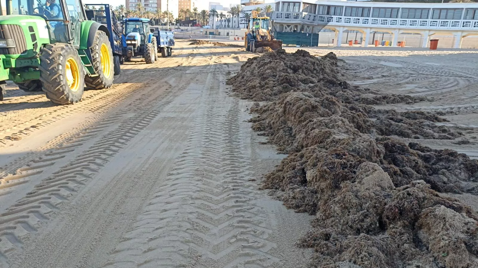 Las maquinas han sido elementos indispensables para de nuevo devolver el estado original a esta zona del litoral urbano