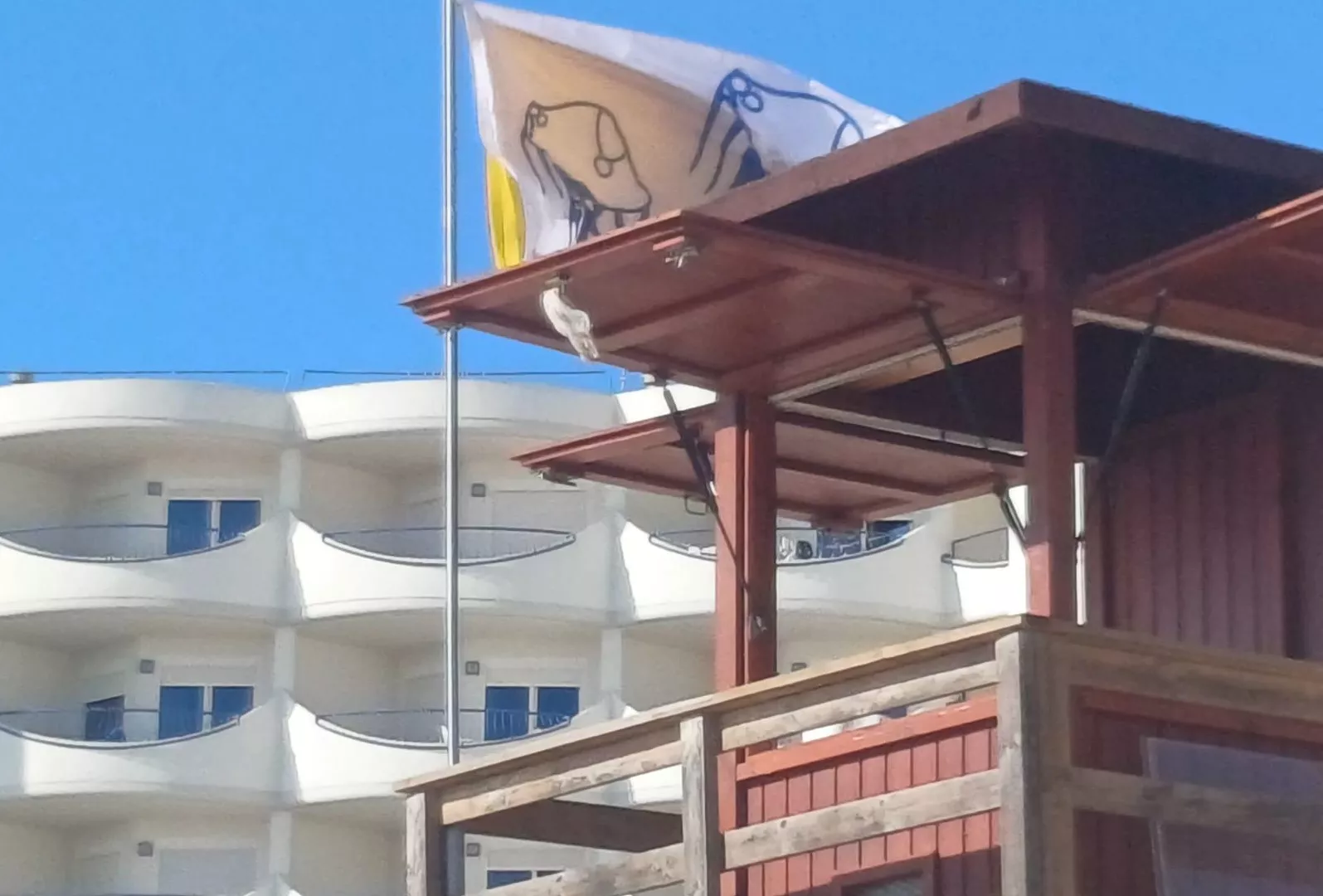 Imagen de las banderas en las torretas situadas a la altura de los módulos central y del antiguo Isecotel.