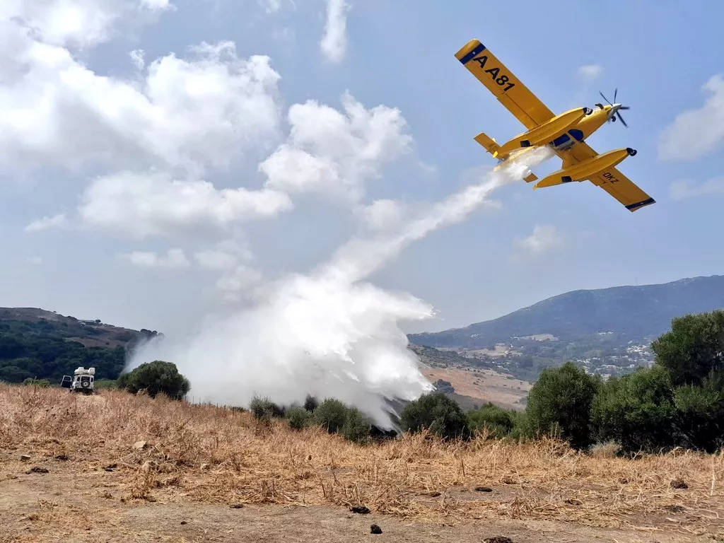 El incendio ha arrasado tres hectáreas de matorral