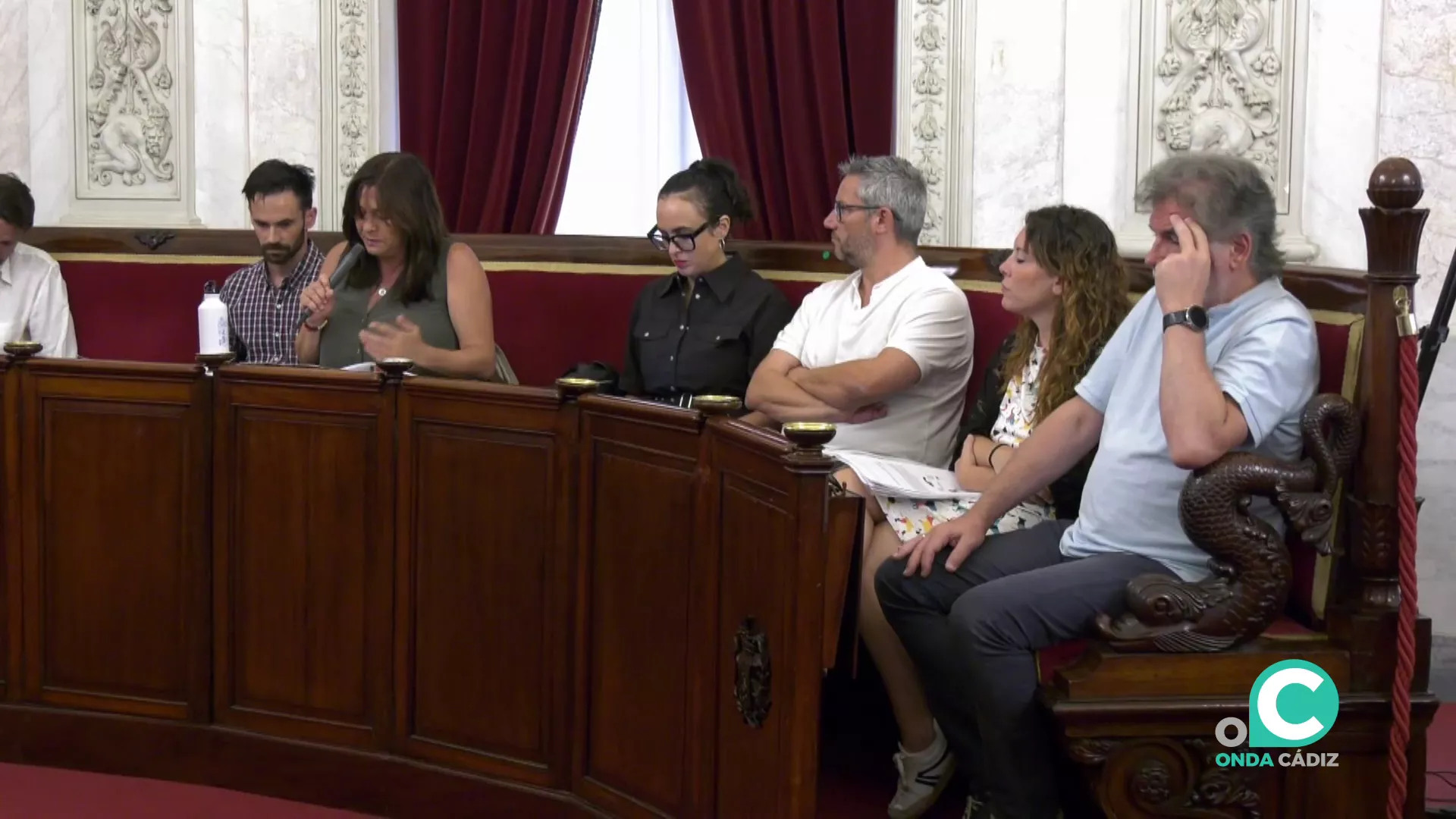 Intervención del grupo de AIG durante un pleno del Ayuntamiento de Cádiz