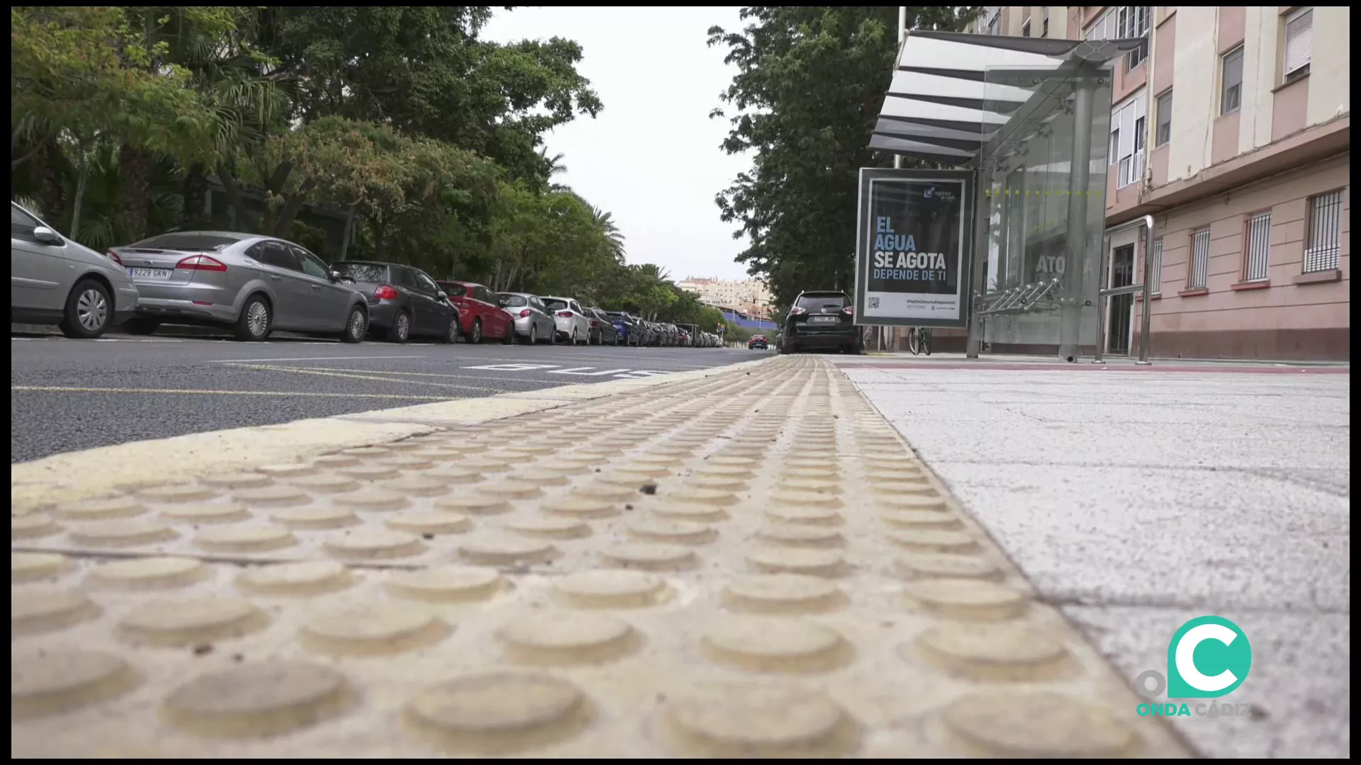 Avenida de la Sanidad Pública donde transcurrió el suceso