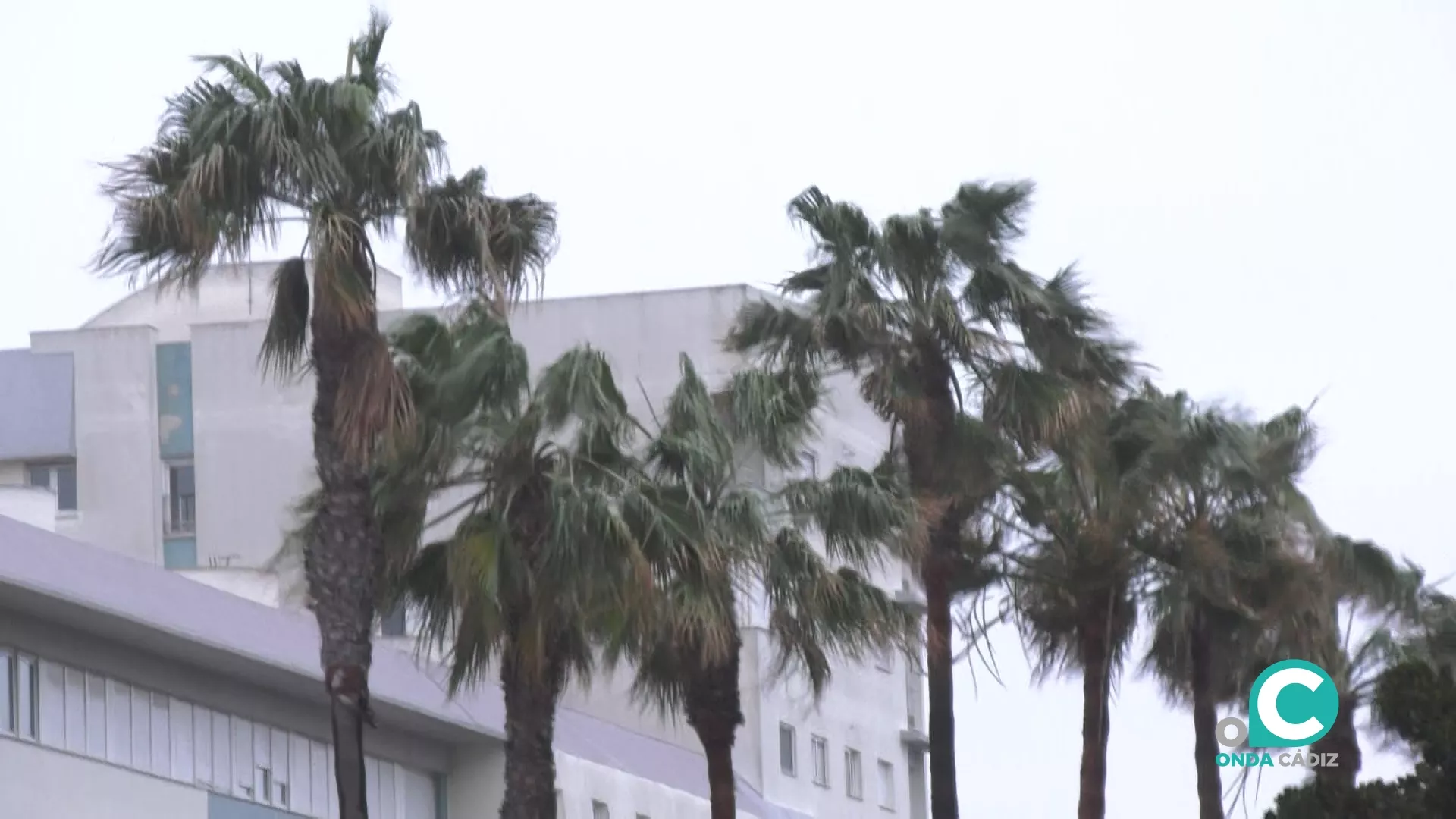 El viento de levante estará presente en Cádiz hasta el domingo.